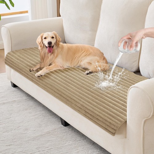 Sparaiz waterproof couch cover - couch,